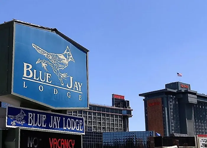Blue Jay Lodge